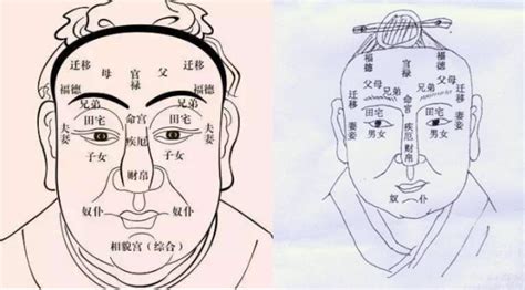 鷹眼 面相|鷹眼面相解析